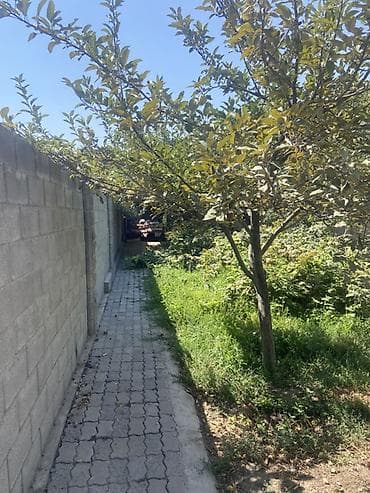 дом с землёй: Продаётся частный дом с участком. Описание объекта: - — 5