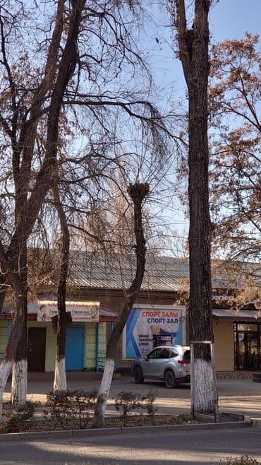 срочно срочно продаю дом город карабалта: 1 комната, 40 м², Сталинка, 1 этаж, Косметический ремонт — 12