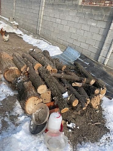 Үй жана бакча: Отун Өзү алып кетүү — 3