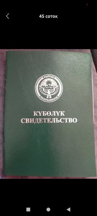 срочный прадаютса дом карабалта: 45 соток — 1