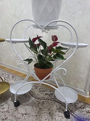 Дом и сад: Полка, этажерка для цветов, Новый, Железо, Самовывоз — 1