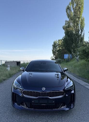 m111 2 2: Kia Stinger: 2019 г., 2 л, Автомат, Бензин, Седан — 1