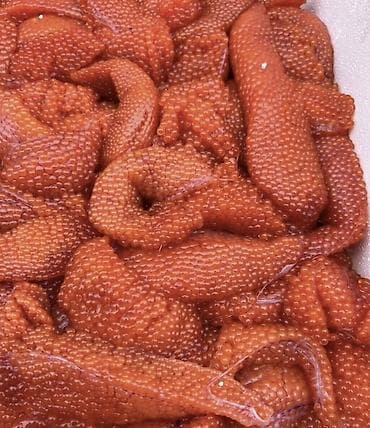 ички кийим: Куплю форелевую икру свежую 
Текучку не берут — 1