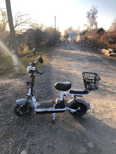 кемпинг дом на колесах: Электровелосипед — 1