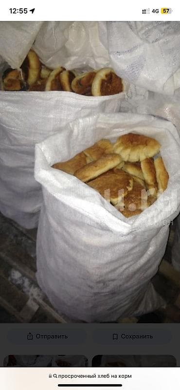 Ветеринар кызматы: Жемге просрочный нан булочкалар сатылат мешогу 150 сом коп аябай — 2