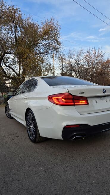 runx alex: BMW 5 series: 2019 г., 2 л, Автомат, Бензин, Седан — 14