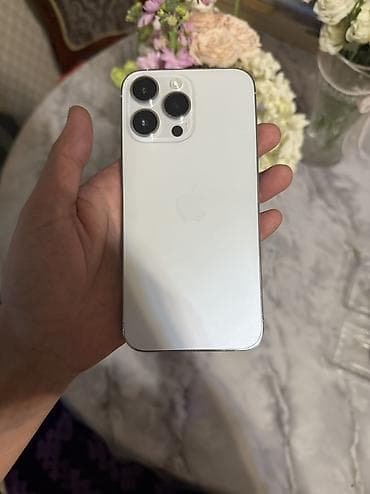 iphone 5s: IPhone 14 Pro Max, Б/у, 256 ГБ, Серебристый, Защитное стекло, Чехол, Кабель, 87 % — 5