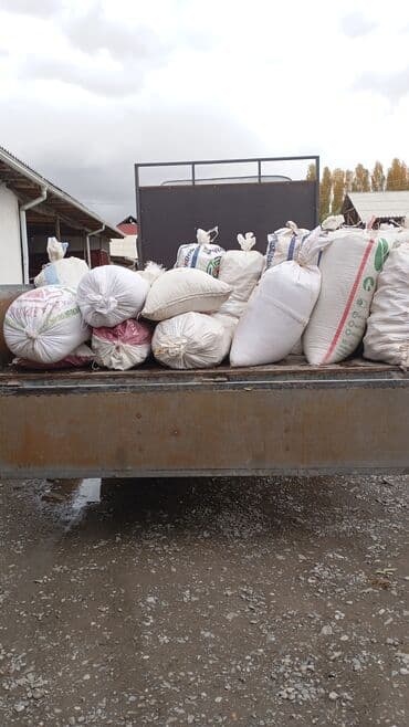 сейф для хранения документов: Дрова — 1