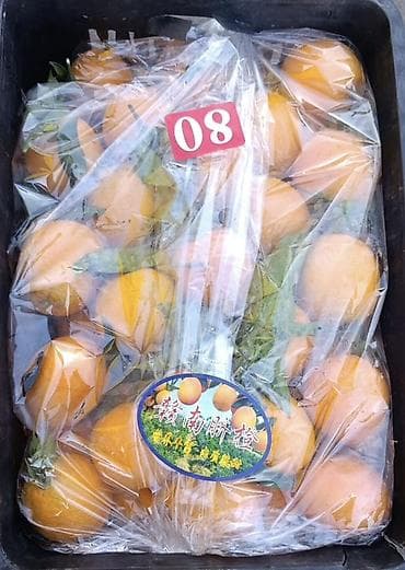 Жашылчалар: Апельсиндер Дүңүнөн — 3