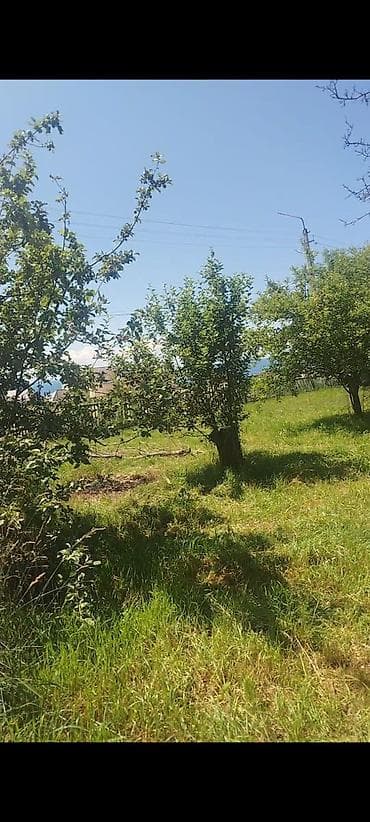 комоды для вещей: Сдаются комнаты,напротив пансионата Simiram.Село Корумду,дальше от — 6