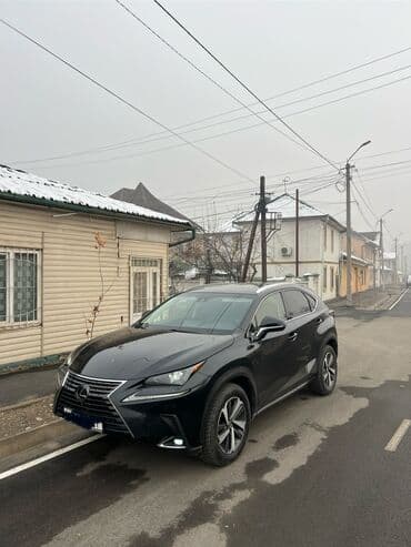 Lexus NX: 2018 г., 2 л, Автомат, Бензин, Кроссовер