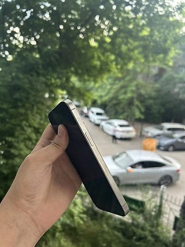 pro max 14: IPhone 15 Pro Max, Новый, 256 ГБ, Серебристый, Защитное стекло — 3