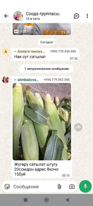 лук овощи: Кукуруза В розницу — 3