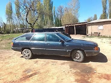 Audi 100: 1989 г., Универсал