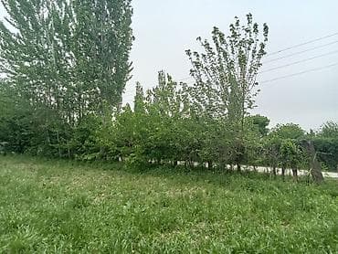 сдается земельный дом: 12 соток, Для сельского хозяйства, Красная книга — 2