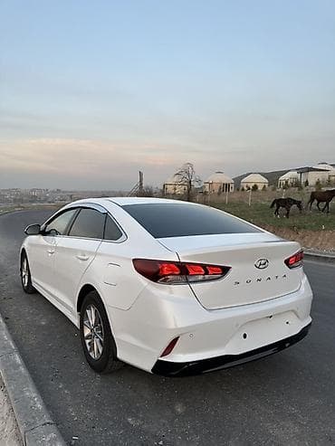 акула морда киа к5: Hyundai Sonata: 2020 г., 2 л, Автомат, Газ, Седан — 9