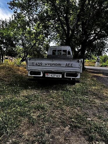 будка ремонт: Легкий грузовик, Hyundai, Стандарт, Б/у — 5