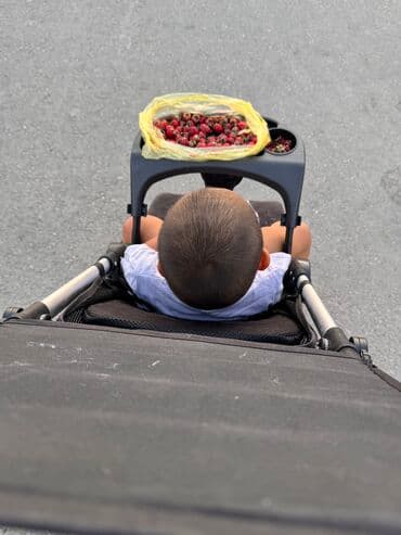 детская коляска в аренду: Коляска, цвет - Черный, Б/у — 11