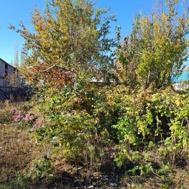 продаю дом новониколаевка: Үй, 150 кв. м, 5 бөлмө, Менчик ээси, Евро оңдоо — 36