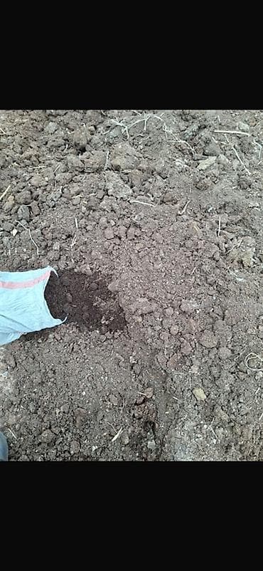 перегной в мешках: Перегной/органический компост в мешках. Биогумус не фильтрованный - — 2