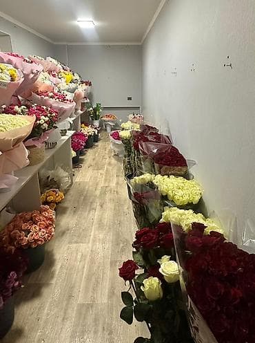 Для кафе, ресторанов: Продажа бизнеса Магазин, Цветы, Вместе с: Оборудование и мебель — 7