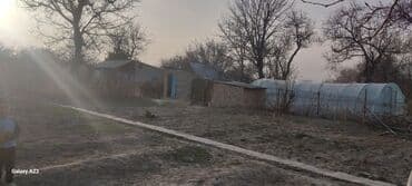 куплю дом в рухий мурас: Дача, 140 м², 4 комнаты, Собственник, Косметический ремонт — 23