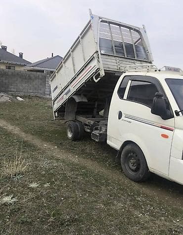 в связи с переездом отдам попугая жако в добрые руки: Заказать Хендай портер, Вывоз швейных отходов, C грузчиком — 1