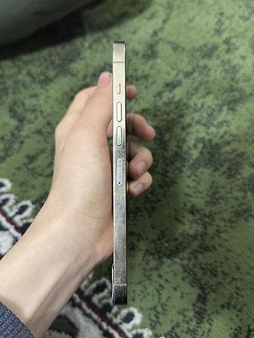 core i7: IPhone 13 Pro Max, Серебристый — 10