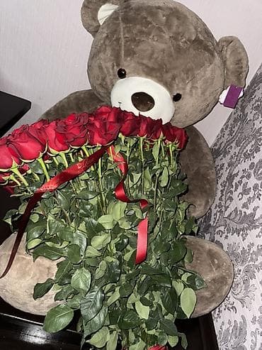 мишка ош: Большой мягкий медведь - Плюшевый медведь: классический коричневый — 1