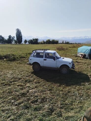 купить мотор на ниву: ВАЗ (ЛАДА) 4x4 Нива: 1998 г., 1.7 л, Механика, Бензин, Внедорожник — 5