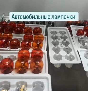 шины бишкек дордой цены: Лампалар, Жаңы — 1