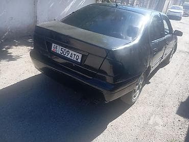 туманик мазда: Nissan Primera: 2026 г. — 5