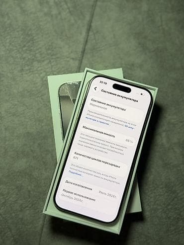 sd disk: IPhone 16 Pro, 256 ГБ, Natural Titanium, Коробка, 88 % — 2