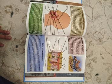 делаем справки: Детская энциклопедия «500 ответов на 500 вопросов будущего отличника» — 2