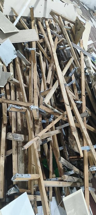 евро подоны: Хвоя — 1