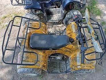 rf 2: Квадроцикл Yamaha, Бензин, 130 куб. см — 4