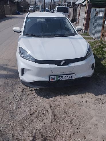 Weltmeister: Weltmeister EX5, 2020 г. — 1