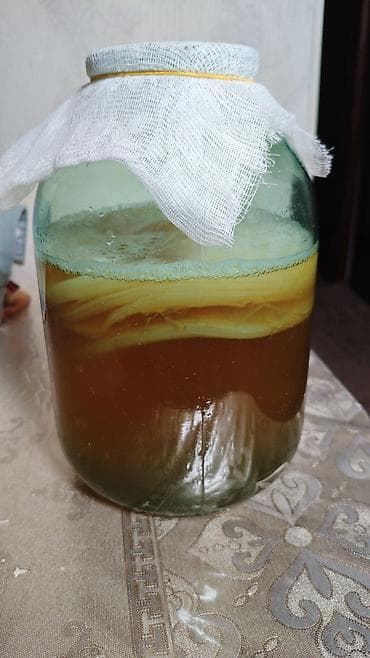 Продукты питания: Чайный гриб ( Комбуча) многослойный, толстый. В 3х.л. банке вместе с — 3