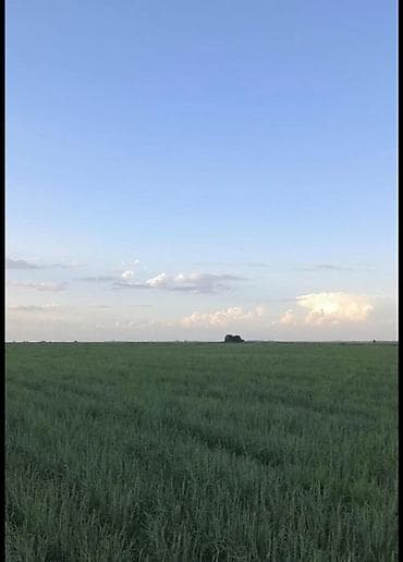 алтын курулуш: 8 соток — 1