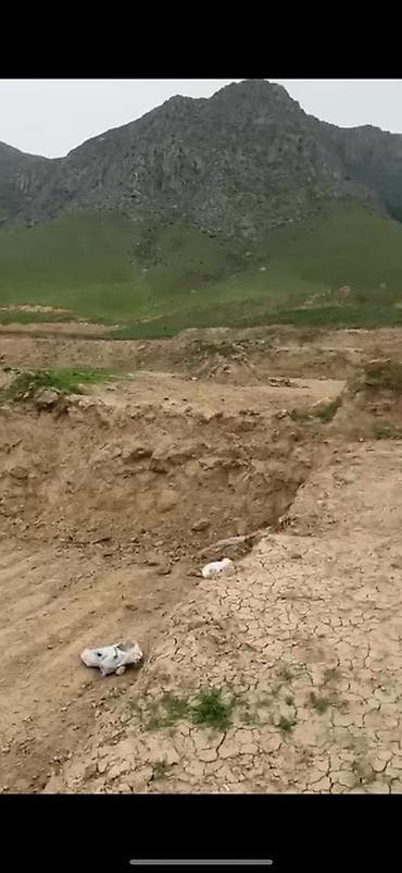 работа детский сад: 5 соток, Для строительства, Красная книга — 3