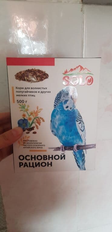 домик на дереве: Продаю клетку для птиц и хомяков. все есть чашки для поилки и корма — 6