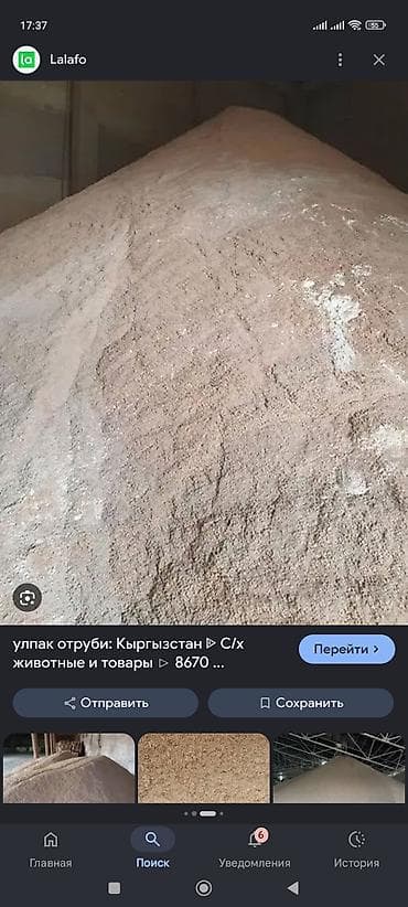 отрубу: Отруби (сыпучие, фракция мелкая/средняя) — кормовая добавка для КРС — 1