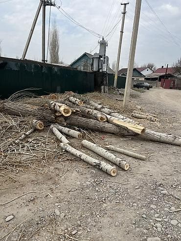 кухоный стол стул: Дрова Тополь — 1