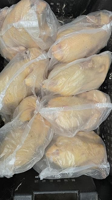 гусинные яйца: Домашние тушки кур, упакованные поштучно в прозрачные пакеты — 1
