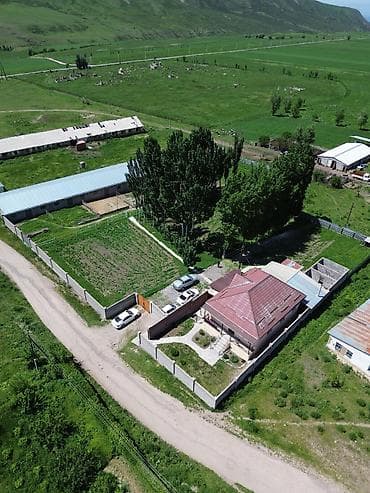 карпинка чуй: Кошара, 50 соток, Действующий, Частично с оборудованием, Электричество, Канализация, Отопление — 8
