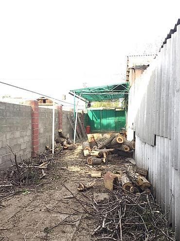 работа вентиляция: Снос аварийных деревьев Распил Укорачивание веток И т.д Убираем — 4