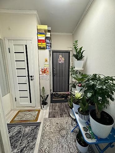 105: 1 комната, 34 м², 105 серия, 5 этаж — 5