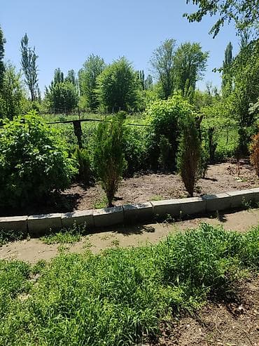 5000 сом кино: Продается дом на участке 18 соток, возле таможни Кордай, имеется — 5