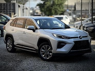 vin code: Toyota Wildlander: 2021 г., 2.5 л, Вариатор, Гибрид, Кроссовер — 1