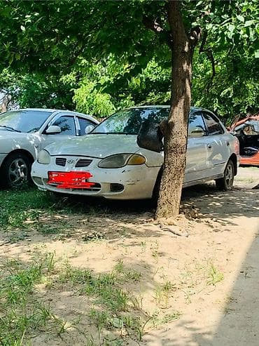 Hyundai Accent: 1999 г., Механика, Бензин, Седан